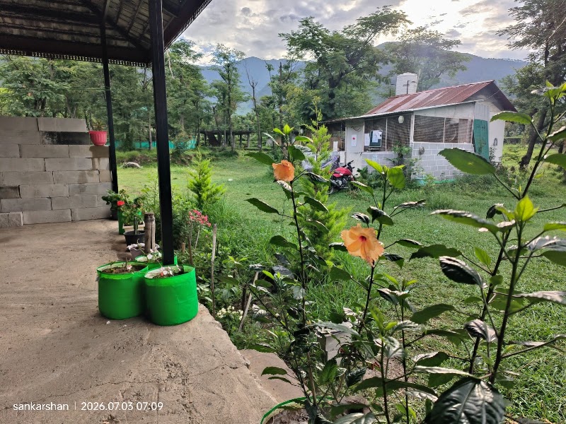 The Bagicha - The Bagicha, vill lahar, The bagicha, p.o gunehar, Teh, baijnath, Bir, Himachal Pradesh 175032, India