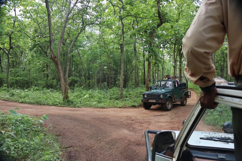 Junona Gate Tadoba - Junona Gate Tadoba MTDC Rd, Moharli, Maharashtra 442404, India