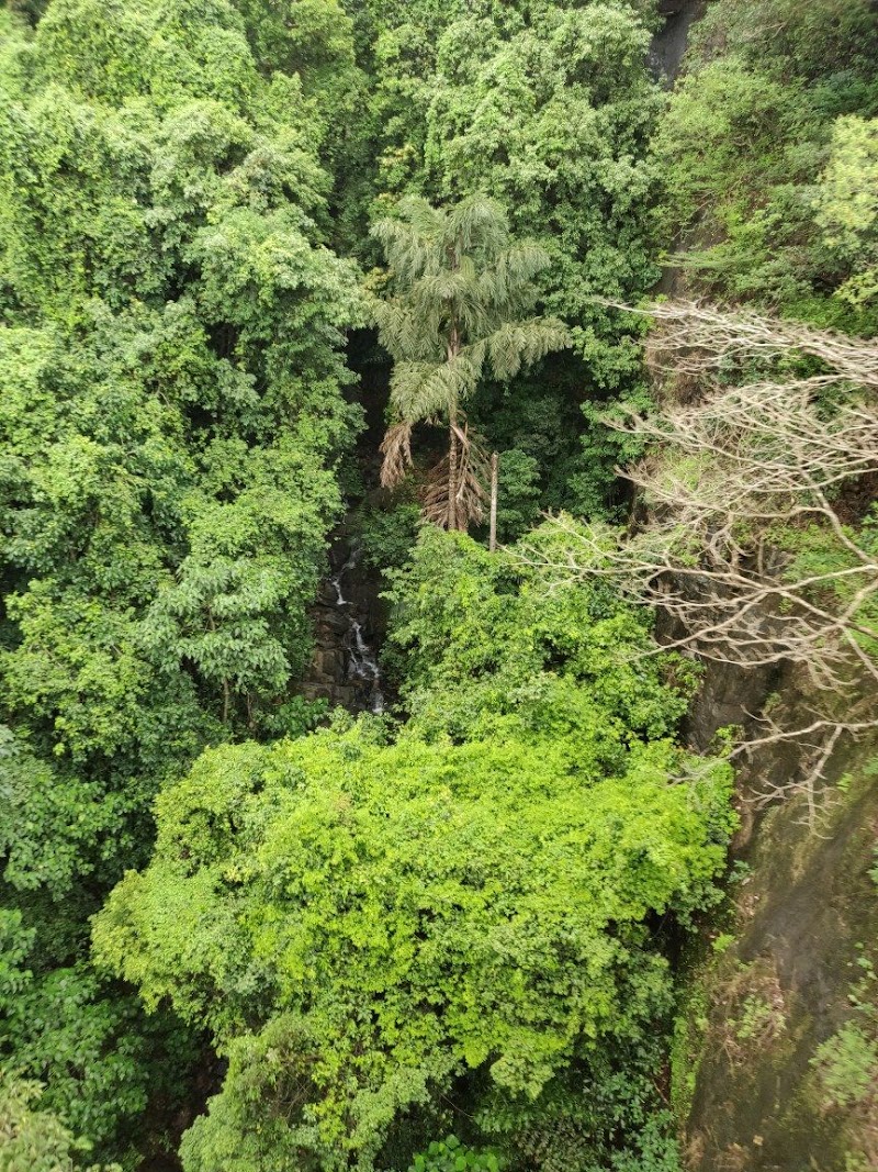 Dudhsagar Watchtower - Dudhsagar Watchtower 8857+H9Q, Sonauli, Goa 403410, India