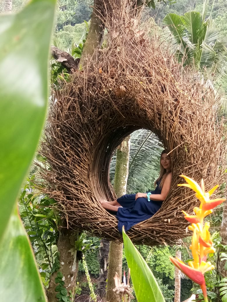 Jungle Swing Bali - Jungle Swing Bali, Buahan, Payangan, Gianyar Regency, Bali 80572, Indonesia