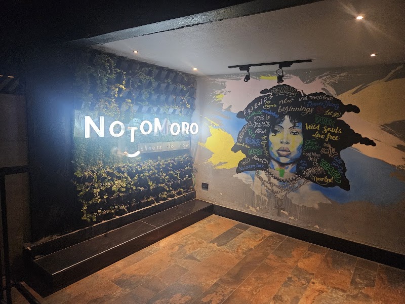 Notomoro - Notomoro Rooftop, The Fern Residency, Sector 3, Hiran Magri, Udaipur, Rajasthan 313002, India