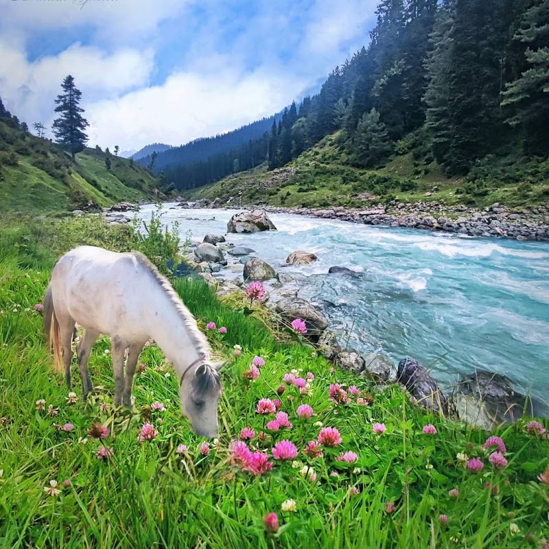 Chandanwari - Chandanwari, Pahalgam 192126