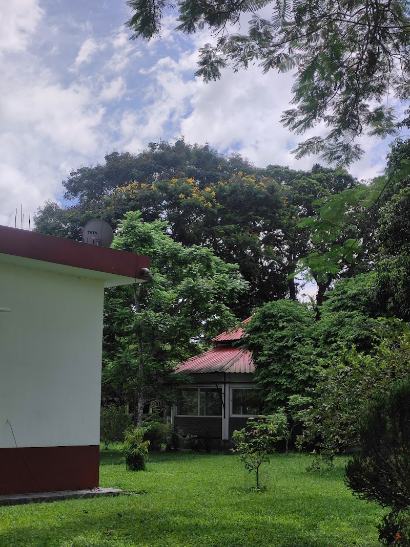 Puroni Bheti Tea and Farm Retreat - Puroni Bheti Tea and Farm Retreat, Haroocharai Tea Estate, Jorhat, Gayan Gaon, Assam 785006, India