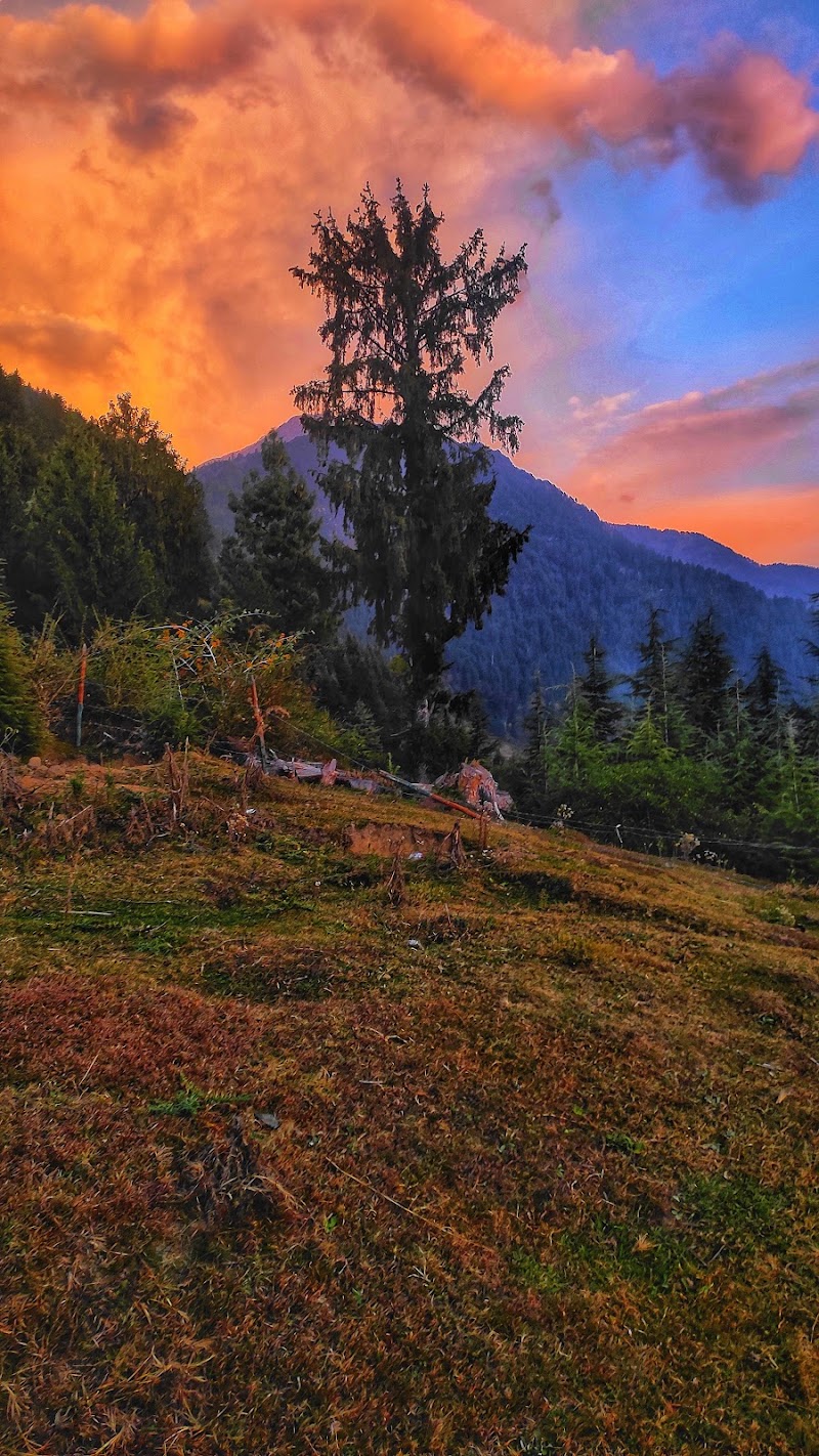 Hallan - Hallan 45J4+W4, Badgran, Himachal Pradesh 175129, India