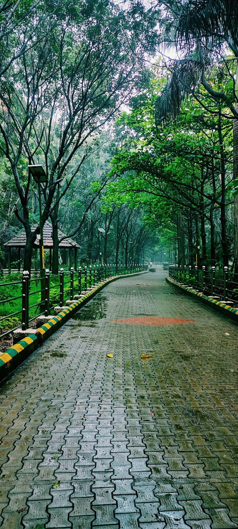 Jaya Prakash Narayana Park - Jaya Prakash Narayana Park 22/1, Tank Bund Road Brindavan Nagar, Bandappa Garden, Mathikere, Bengaluru, Karnataka 560054, India