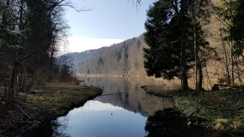 Egelsee - Egelsee Egelsee, 8962 Bergdietikon, Switzerland