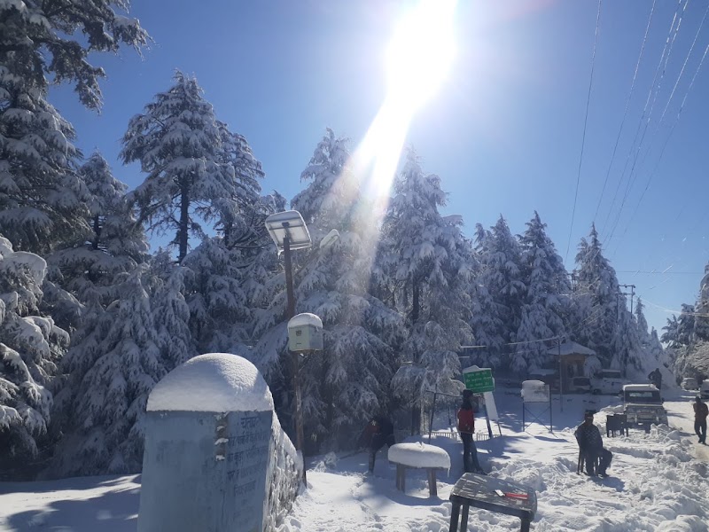 The Kanatal Homestay by saur properties - The Kanatal Homestay by saur properties, next to club mahindra, Kanatal, Kaudia Range, Uttarakhand 249145, India