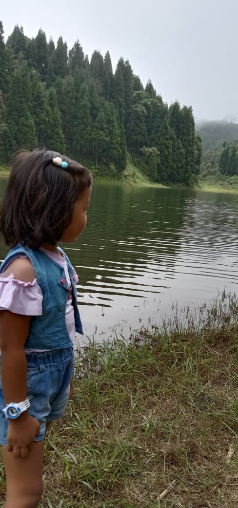 THE VILLAGE - THE VILLAGE, Sittong, Sittong Forest, West Bengal 734008, India