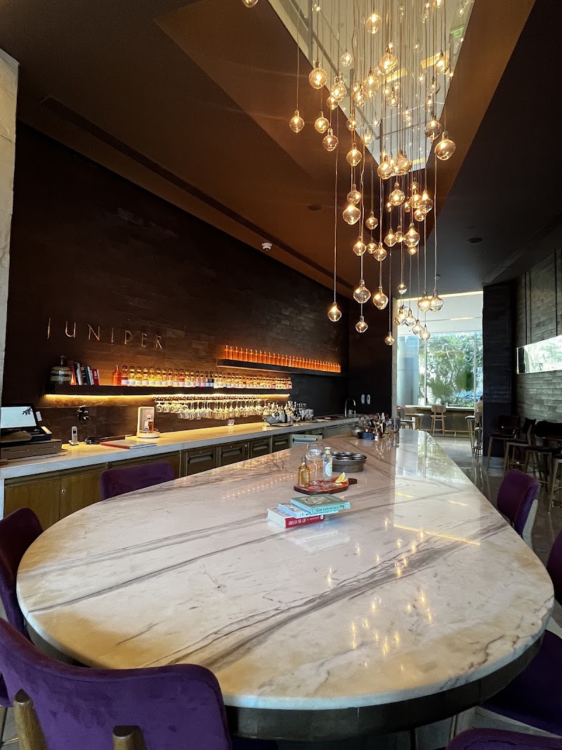 Juniper Bar - Andaz Delhi - Juniper Bar - Andaz Delhi Gin Bar at Andaz Delhi, H43C+VPM, Northern Access Rd, Aerocity, New Delhi, Delhi 110037, India