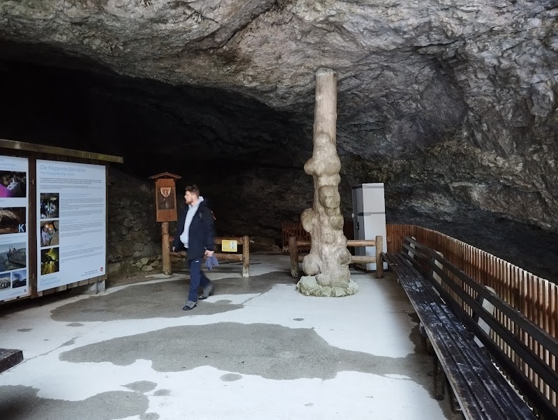 Koppenbrüller Cave - Koppenbrüller Cave, Winkl 34, 4831 Obertraun, Austria