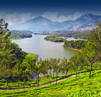 Club Mahindra Resort - Mount Serene, Kerala - Club Mahindra Resort - Mount Serene, Kerala Chinnakanal Suryanelli Rd, Munnar, Kerala 685613, India