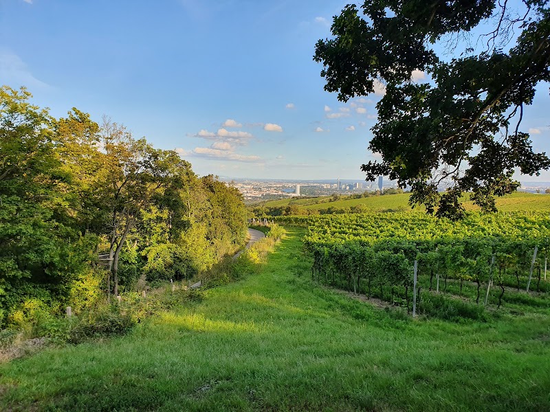 Stadtwanderweg 1 - Stadtwanderweg 1, Zahnradbahnstraße, 1190 Wien, Austria