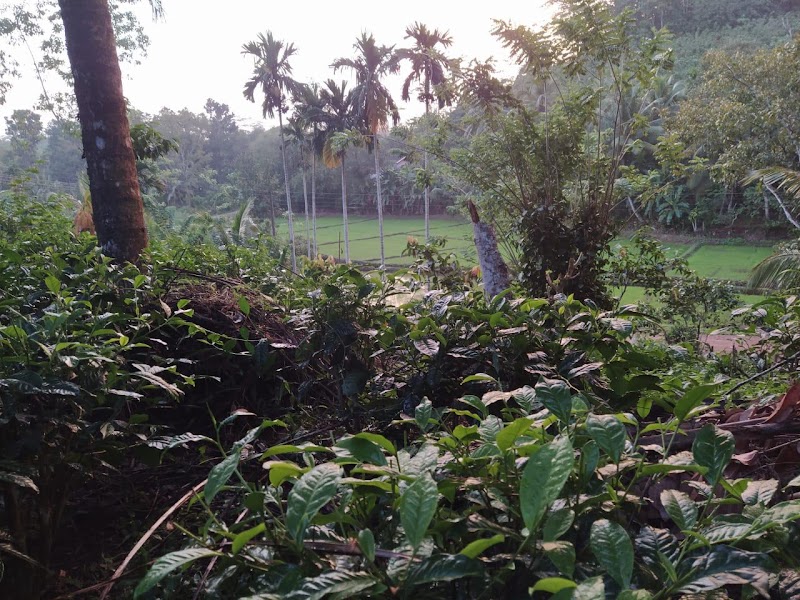 Ahangama - Ahangama Ahangama, Sri Lanka