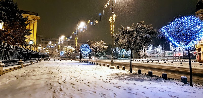 Calea Victoriei - Calea Victoriei, București, Romania