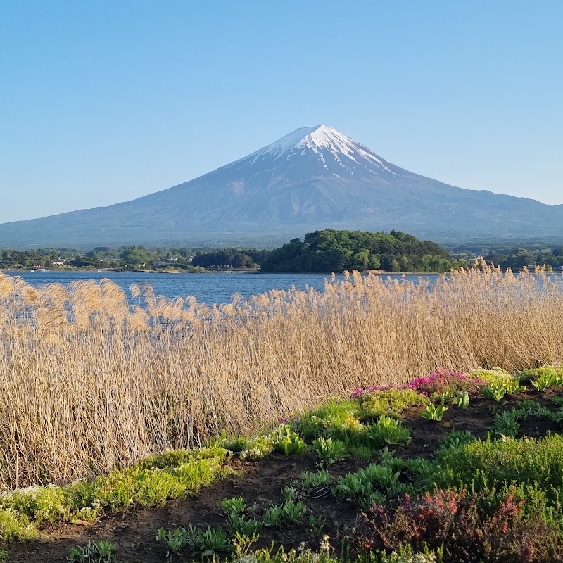 Oishi Park - Oishi Park ２５２５番地の１１先 Ōishi, Fujikawaguchiko, Minamitsuru District, Yamanashi 401-0305, Japan