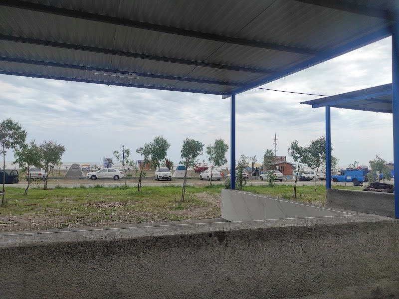 پارک جنگلی گیسوم - پارک جنگلی گیسوم, M3G3+J4F, Getge Sara, Iran
