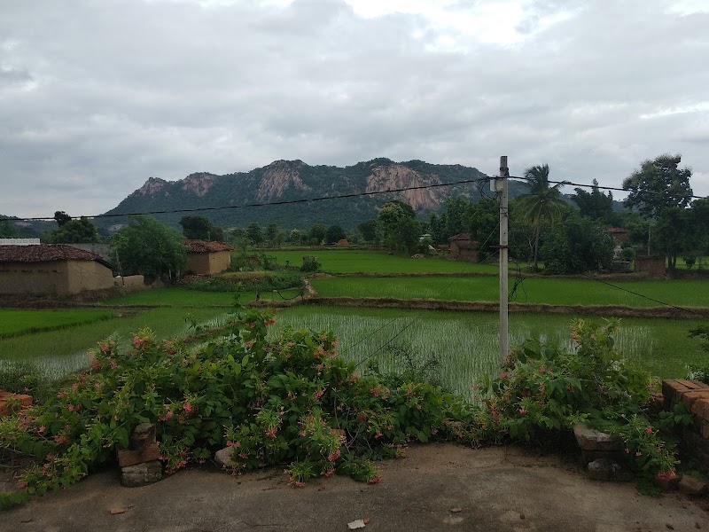 Muni Dongar मुनी डोंगर - Muni Dongar मुनी डोंगर, 6HP8+W6, Teka, Chhattisgarh 493551, India