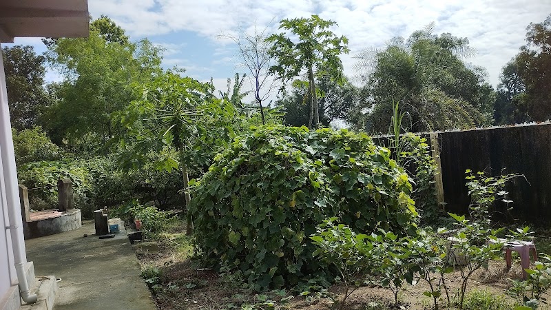 SHA'S HOUSE - SHA'S HOUSE, PVQ9+M2, Khadam, Odisha 768211, India