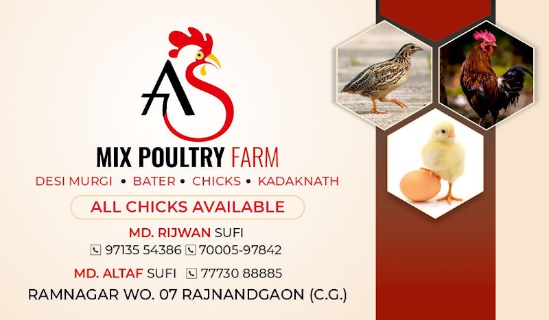 Mixed POULTRY FARM - Mixed POULTRY FARM, Ramnagar Ward no7, Shri Ram Colony, Motipur, Rajnandgaon, Chhattisgarh 491441, India