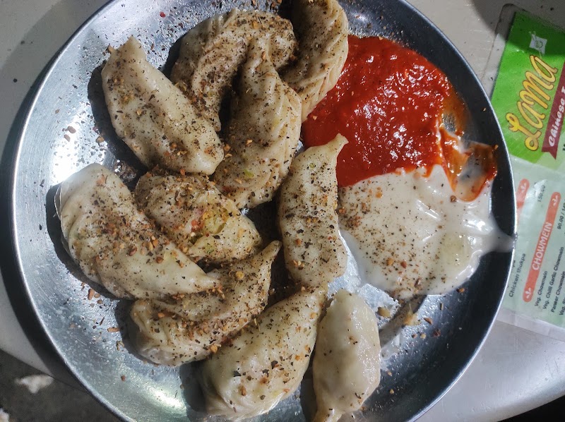 Lama Chinese Food - Chinese food in patel nagar - Lama Chinese Food - Chinese food in patel nagar, G-Block, West Patel Nagar, Patel Nagar, New Delhi, Delhi, 110008, India