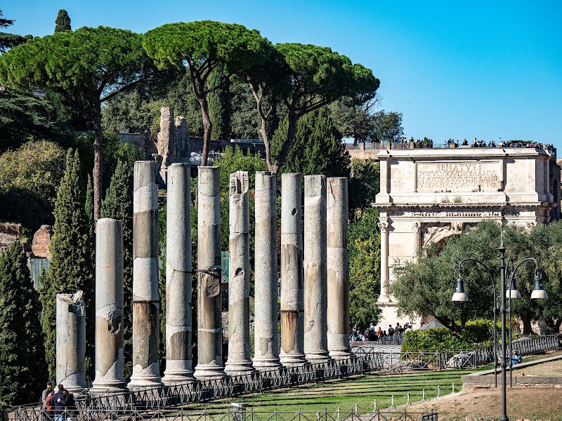 Arch of Titus - Arch of Titus Via Sacra, 00186 Roma RM, Italy
