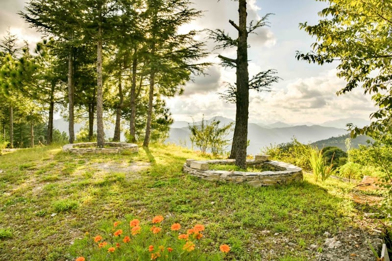 Tirthan Valley Stay - Tirthan Valley Stay 212, VPO Nagni, Tehsil, Banjar, Pekhri, Himachal Pradesh 175123, India