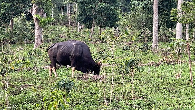 YERCAUD OFF ROAD 4×4 ADVENTURE JEEP SAFARI - YERCAUD OFF ROAD 4×4 ADVENTURE JEEP SAFARI Lake boat house, Yercaud, Salem, Tamil Nadu 636602, India