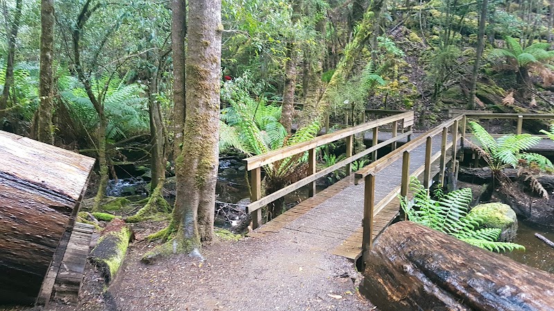 Mount Field National Park - Mount Field National Park, 66 Lake Dobson Rd, National Park TAS 7140, Australia