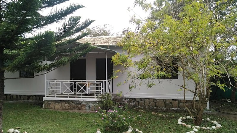 The Big Cat's Den - Maravakandy Resort Masinagudi