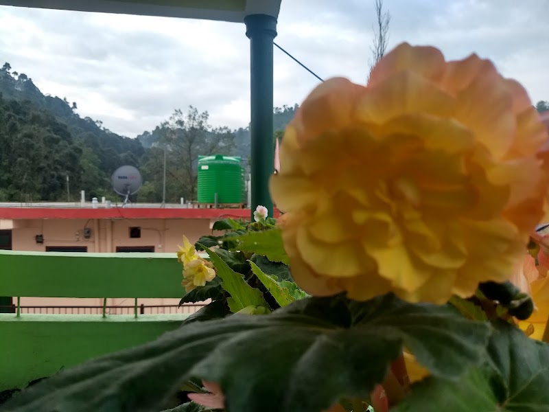 Hotel Pine View - Hotel Pine View, Rabikhet Road, Bhowali, Sukha, Uttarakhand 263132, India