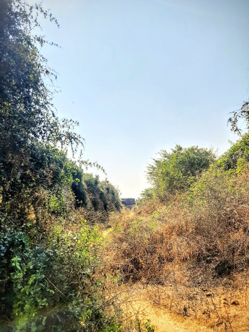 Delhi gate bridge - Delhi gate bridge, CMGG+777, Srirangapatna, Karnataka 571438, India