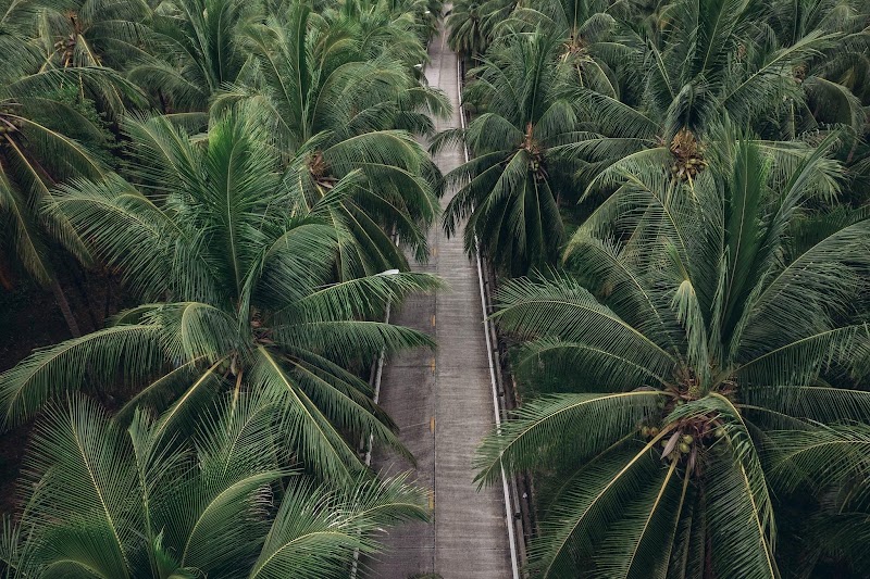 Ko Pha Ngan - Ko Pha Ngan Ko Pha Ngan, Ko Pha-ngan District, Surat Thani 84280, Thailand