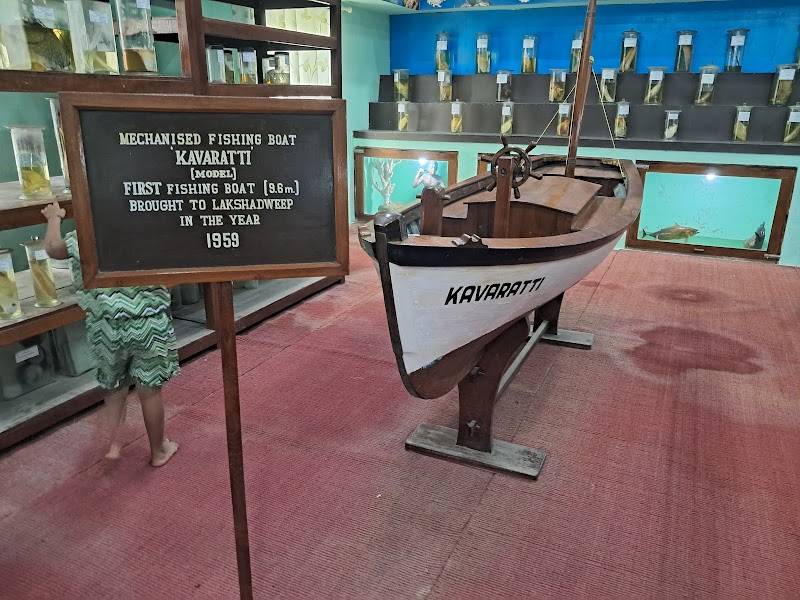 Marine Aquarium and Museum - Marine Aquarium and Museum, HJGR+H4J, Kavaratti, Lakshadweep 682555, India