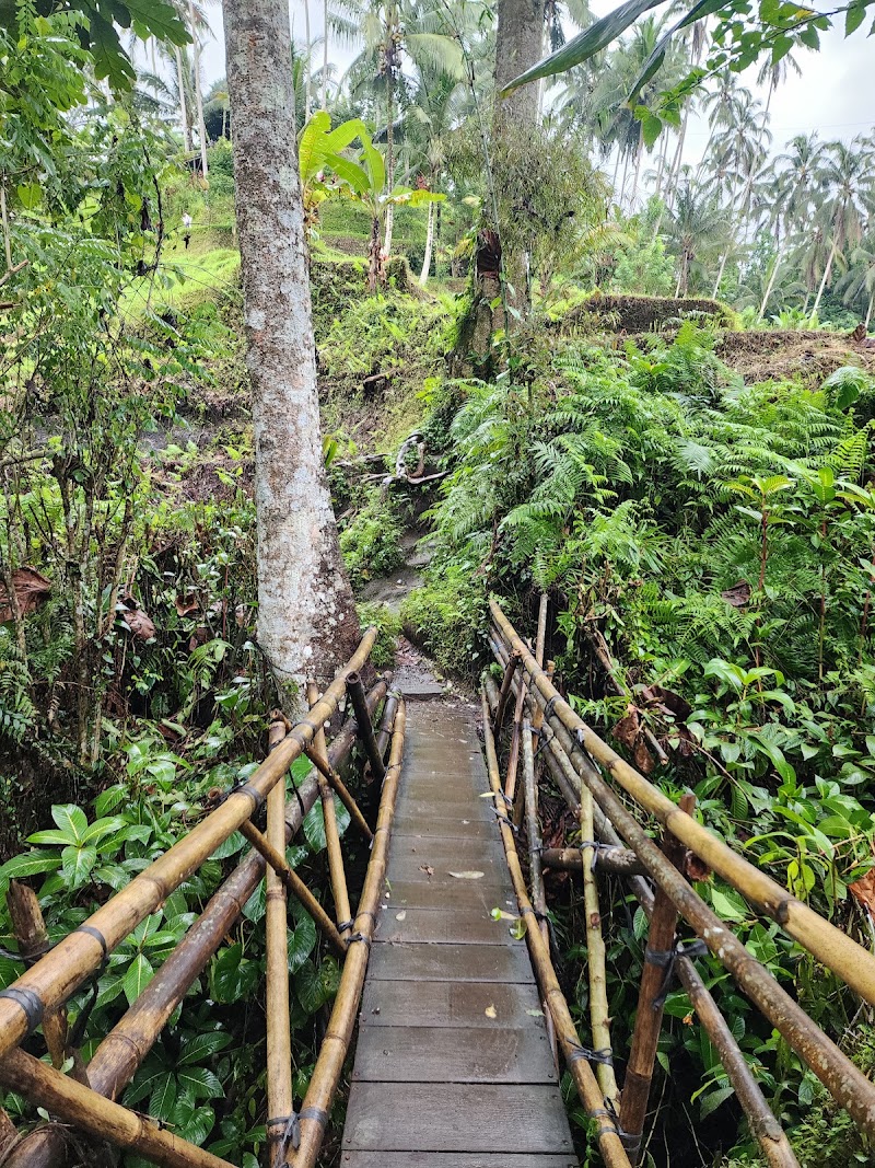 Mupu Rice Terrace - Mupu Rice Terrace Tegallalang, Gianyar Regency, Bali 80561, Indonesia