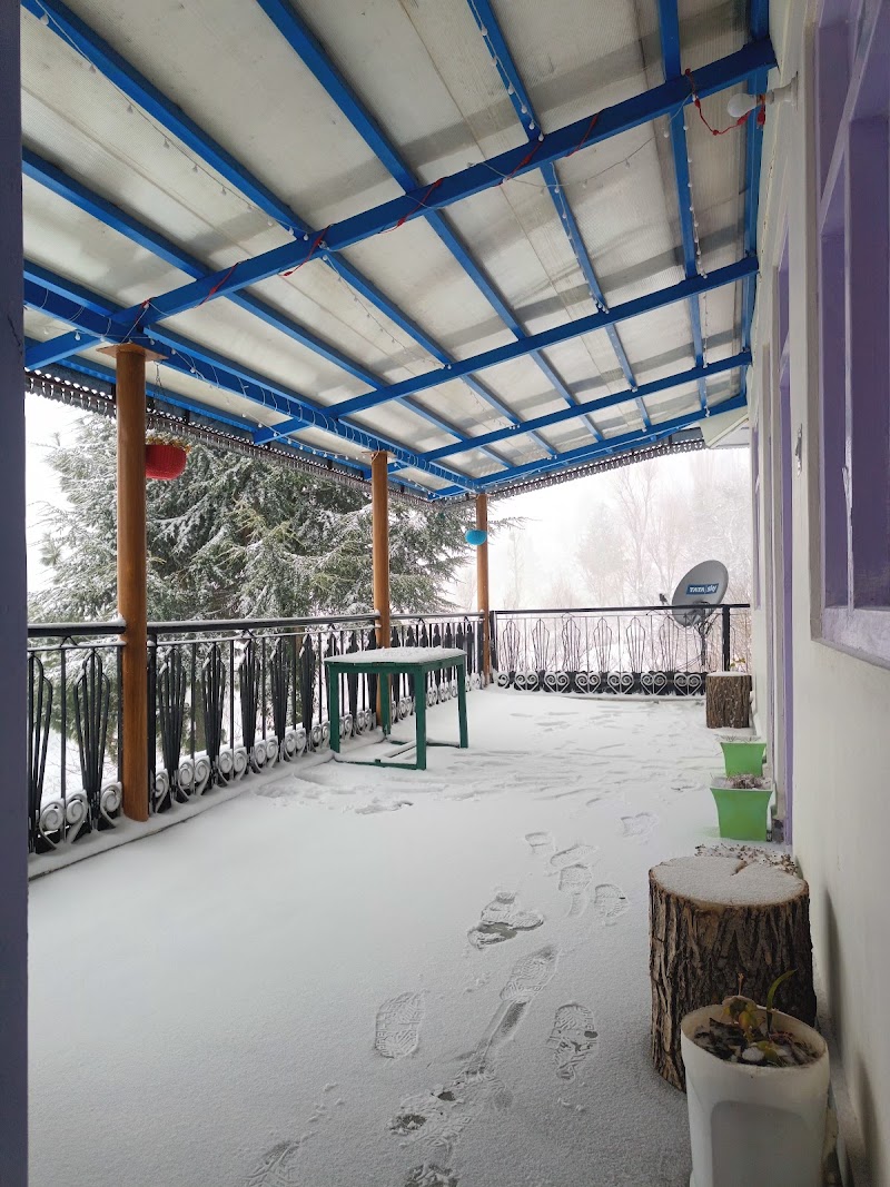Farmvilla Homestay Kalpa - Farmvilla Homestay Kalpa vpo, tehsil, distt, Kalpa, Saryo, Himachal Pradesh 172108, India