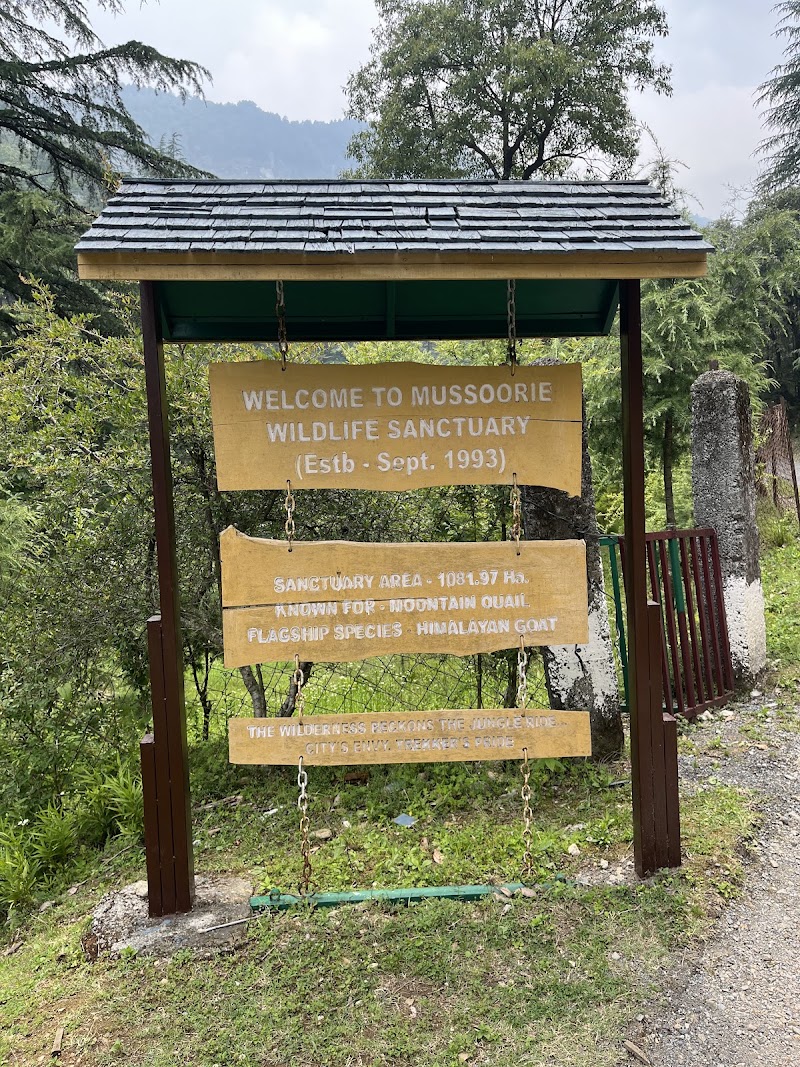 Benog Wildlife Sanctuary - Benog Wildlife Sanctuary Charleville, Mussorie Range, Uttarakhand 248179, India