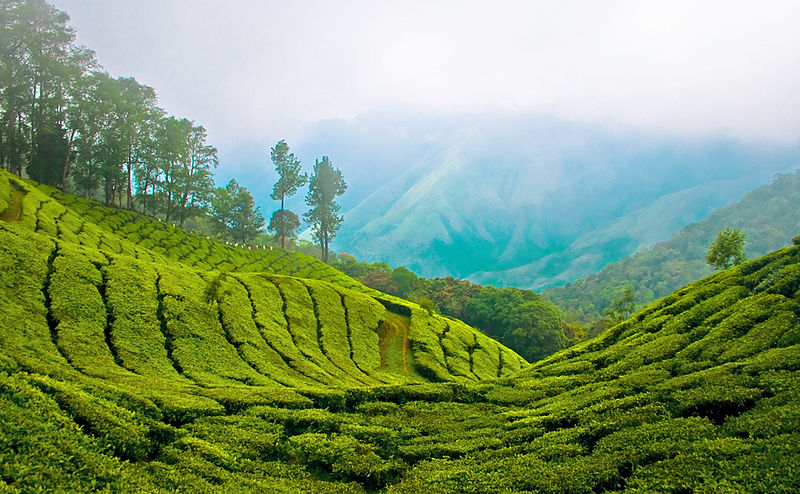 South India Tour Packages - South India Tour Packages, Near Sri Lakshmi Narasimha Swamy Temple, Green House Layout, Doddathoguru, Electronic City Phase I, Electronic City, Doddathoguru, Karnataka 560100, India