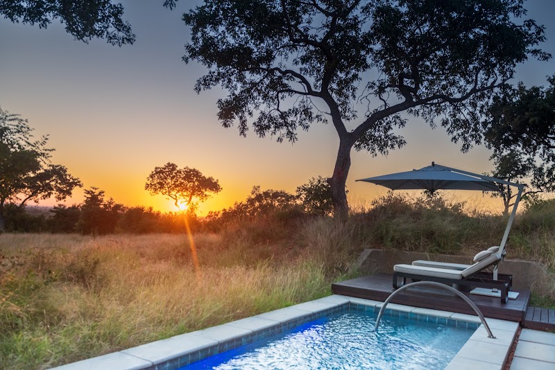 Sabi Sabi Earth Lodge - Sabi Sabi Earth Lodge, Sabi Sabi Private Game Reserve, Sabie Game Reserve, Greater Kruger, 1350, South Africa