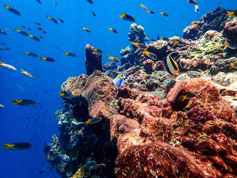 Koh​ Haa (Five Island)​ - Koh​ Haa (Five Island)​, CVHV+XXC Ko Haa (Five Island, Khao Thong, Mueang Krabi District, Krabi 81000, Thailand