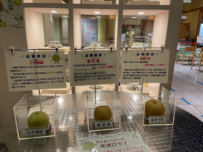 Nashikkokan, Tottori Nijusseiki Pear Museum - Nashikkokan, Tottori Nijusseiki Pear Museum, 198-4 Dakyōjichō, Kurayoshi, Tottori 682-0816, Japan