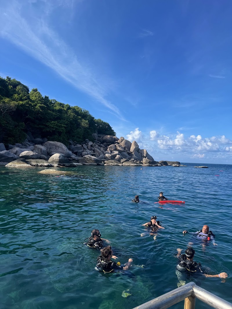 Pura Vida Diving - Pura Vida Diving, 9/24, ตำบล เกาะเต่า Koh Tao, สุราษฎร์ธานี 84360, Thailand