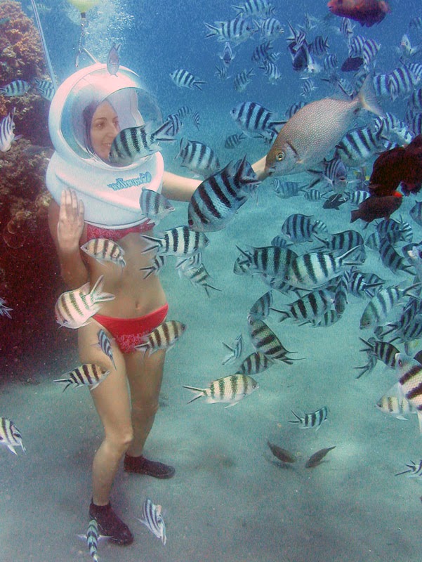 Bali Seawalker Tours - The Original - Bali Seawalker Tours - The Original, Sanur, Denpasar Selatan, Denpasar City, Bali 80237, Indonesia