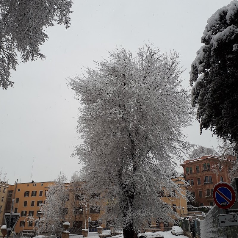 Viale Giorgio Washington - Viale Giorgio Washington, Roma RM, Italy