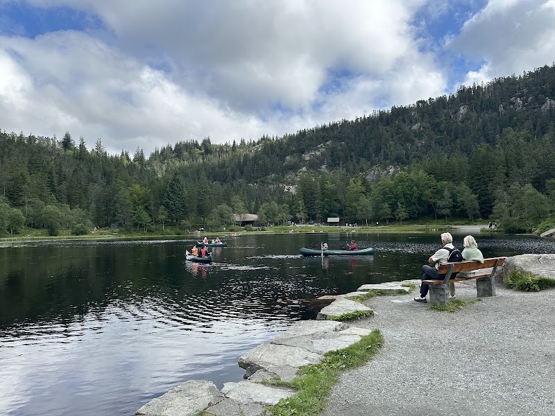 Fløyen Start - Fløyen Start, Fjellveien, 5019 Bergen, Norway