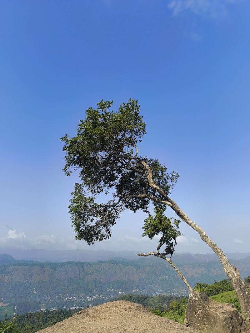 Kottappara Hilltop Viewpoint - Kottappara Hilltop Viewpoint Kallar - Mankulam Rd, Munnar, Adimali, Kerala 685561, India