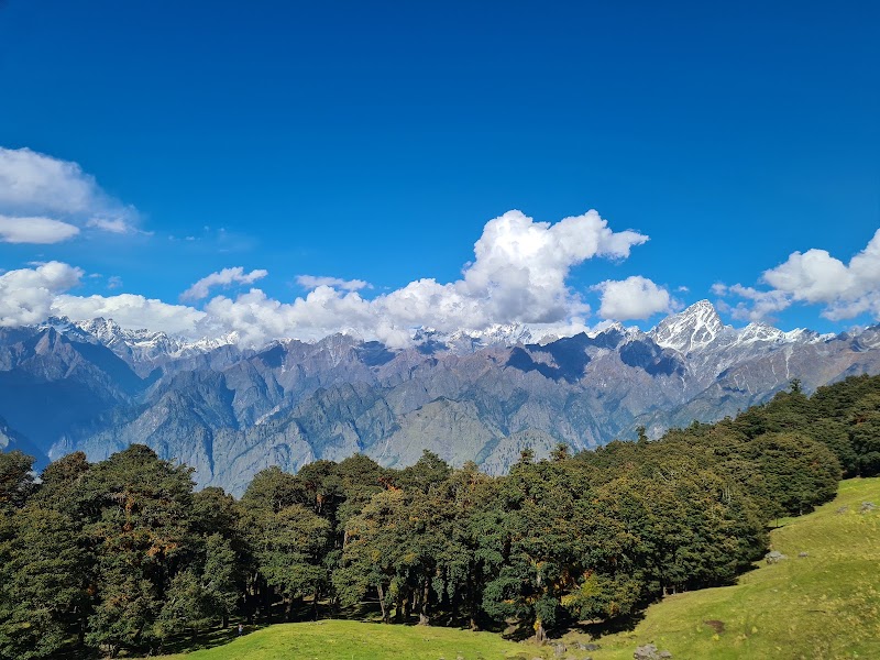 Gurson Bugyal - Gurson Bugyal, GH67+J67, Auli Laga Salude, Uttarakhand 246443, India