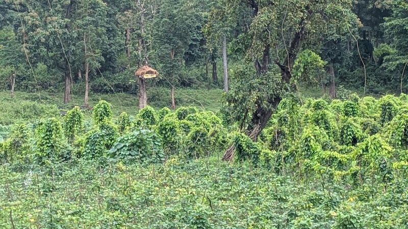 Bavali Checkpost - Bavali Checkpost, V448+FMM, Bavali, Karnataka 571114, India