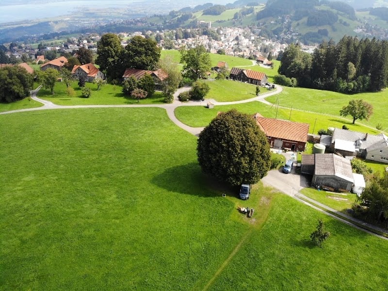 Zur Grossen Linde - Zur Grossen Linde Benzenrüti 1, 9410 Heiden, Switzerland