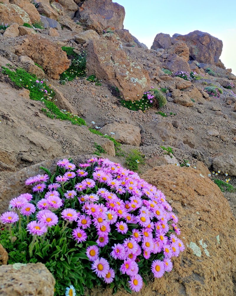 Savalan Peak - Savalan Peak, 7R9P+2MH, Moeil, Ardabil Province, Iran