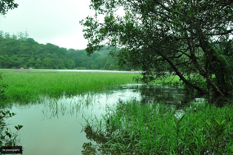Kunnathidavaka - Kunnathidavaka, Keralam, India